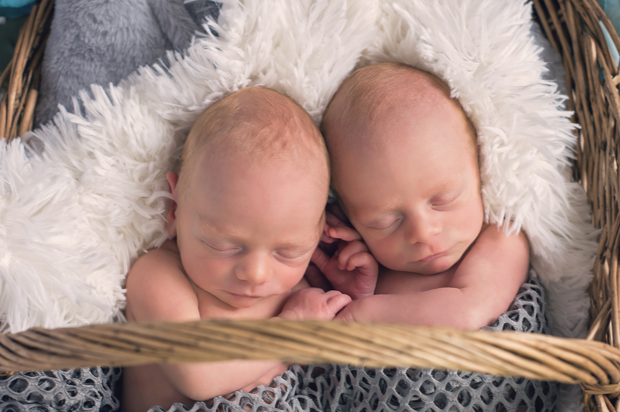 Newborn
